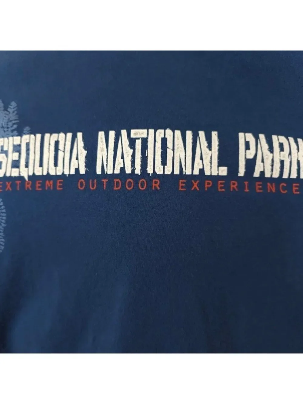 Sequoia National Park T Shirt Mens Size Small Blue Extreme Outdoor Experience